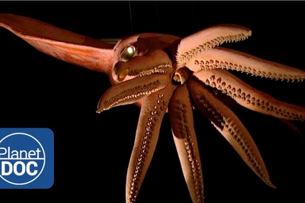 Kraken что это такое